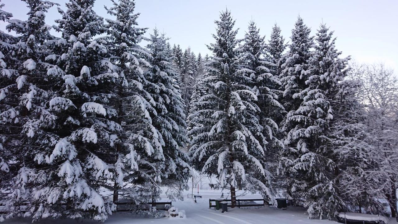 Am Kaltenbach - Spital Am Semmering, Stuhleck المظهر الخارجي الصورة
