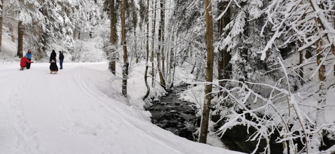Am Kaltenbach - Spital Am Semmering, Stuhleck المظهر الخارجي الصورة
