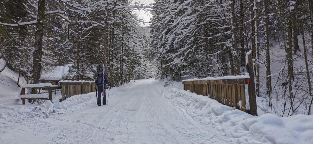 Am Kaltenbach - Spital Am Semmering, Stuhleck المظهر الخارجي الصورة